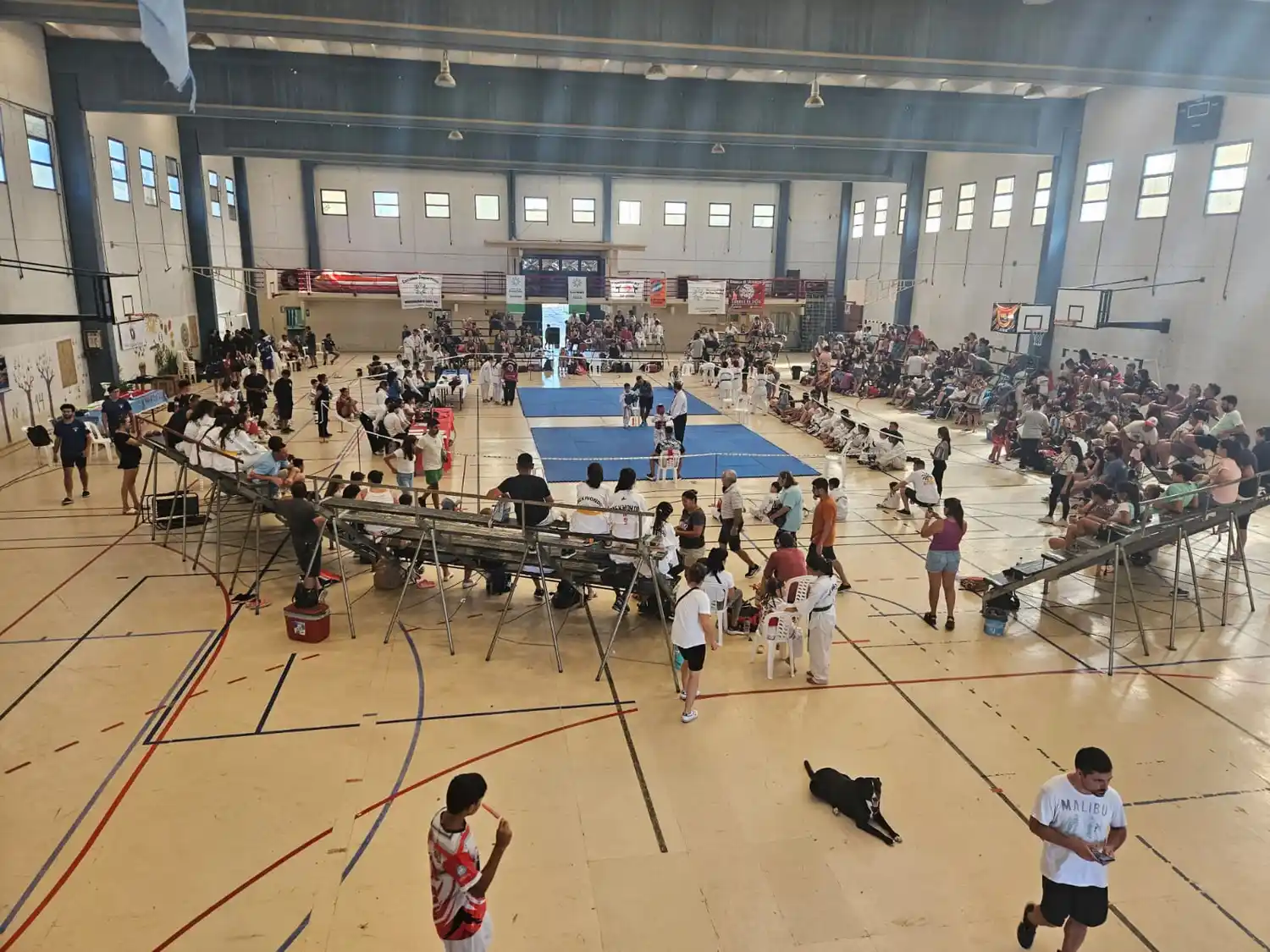 El Torneo de Verano de taekwondo organizado por Mitre se realizará en Paraná y no en el gimnasio del Estadio Municipal.