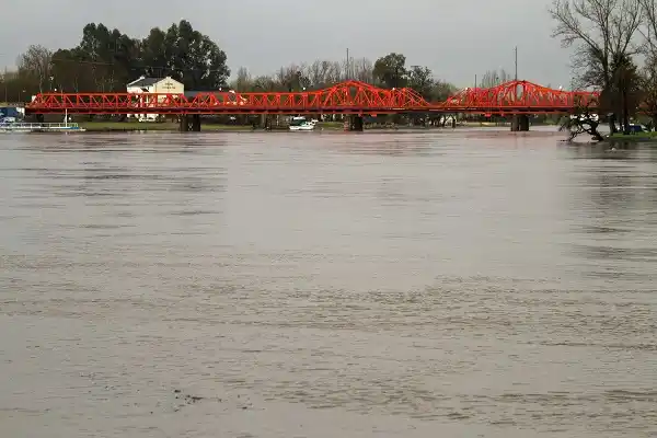 El fenómeno El Niño ya comenzó y se anticipa de fuerte impacto