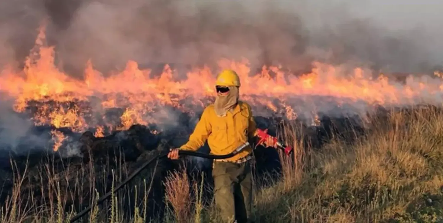 Tres provincias registran focos activos de incendios forestales 