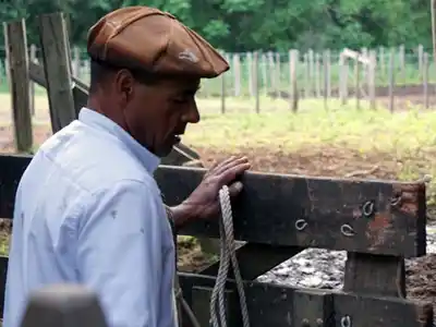 Entre Ríos: nuevas escalas salariales para trabajadores rurales en actividades específicas