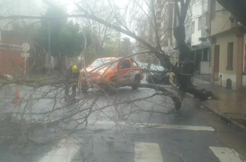 El viento ya arrasó con un árbol, cinco postes y tres cercas