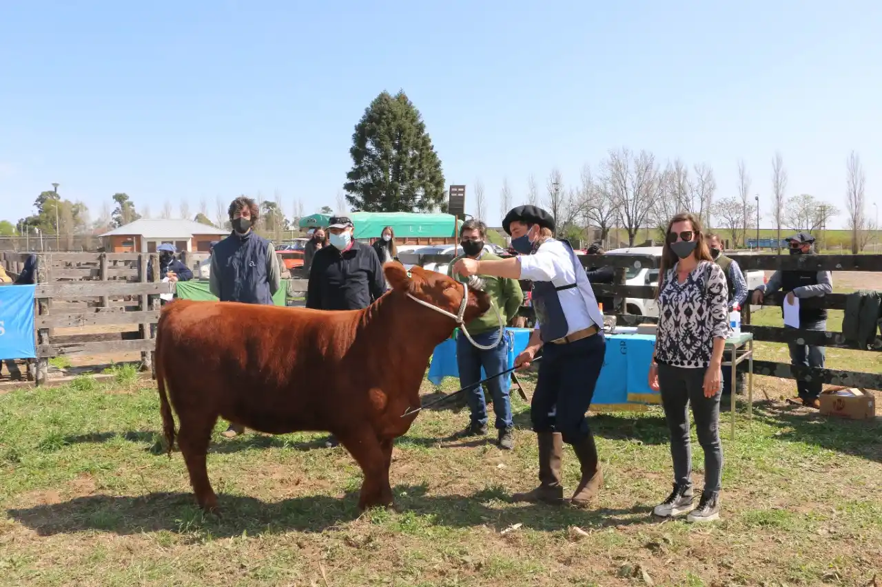 Con protocolos, sin público pero con muchas actividades: así será la Expo Rural