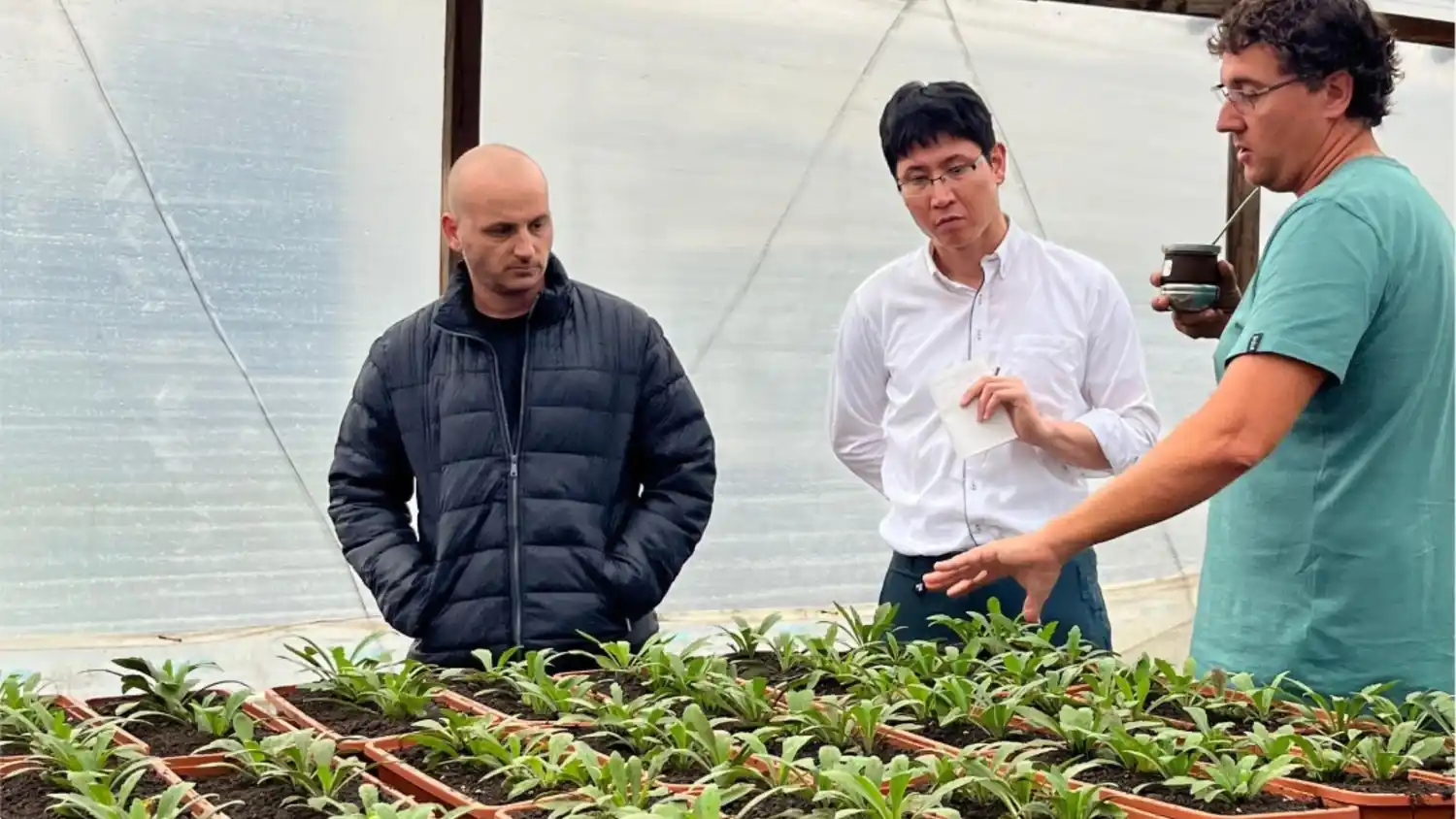 La Jornada apunta a mejorar la producción en arveja, trigo, cebada y camelina.