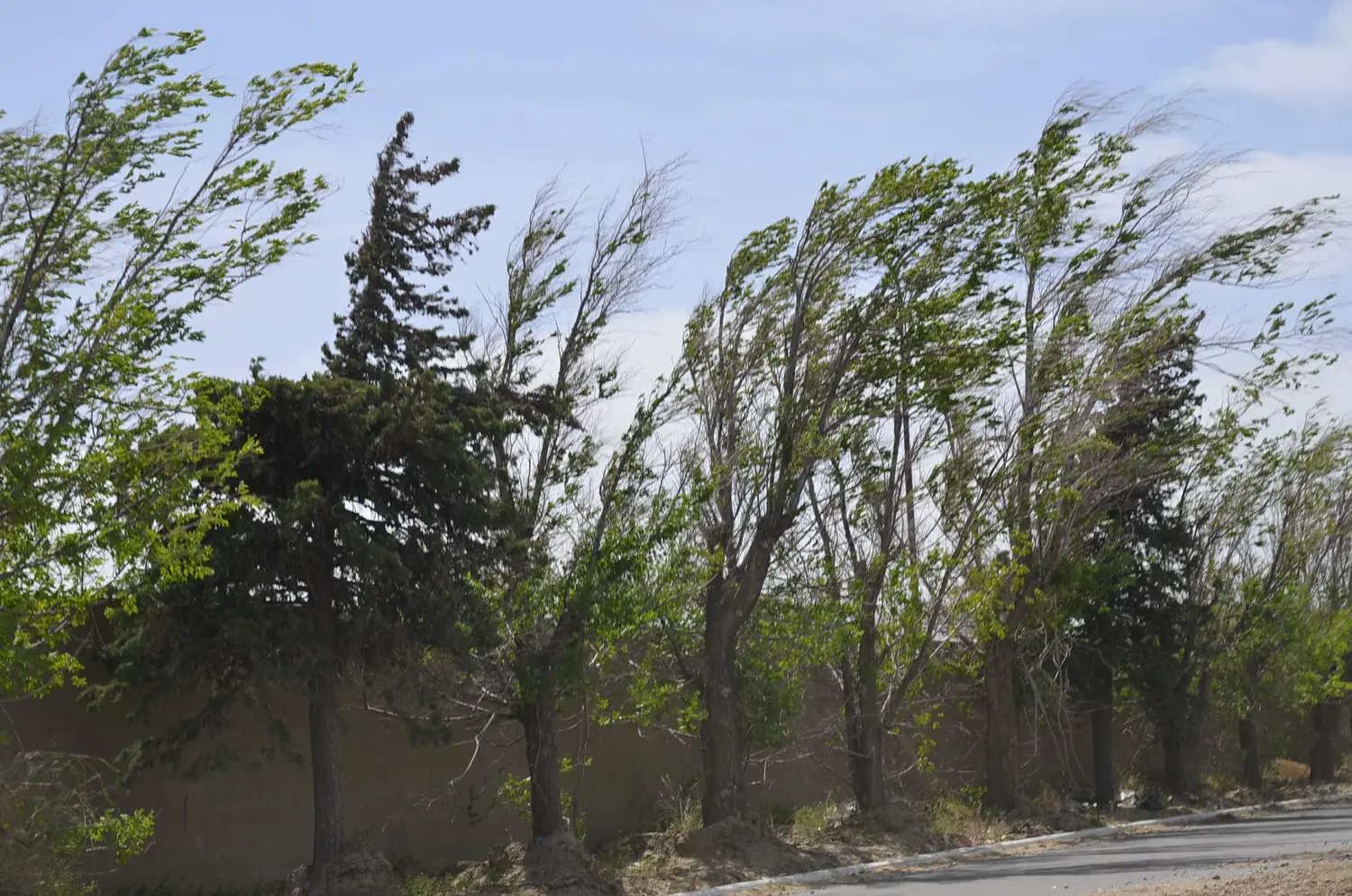 Alerta meteorológico en el sudoeste de la Provincia
