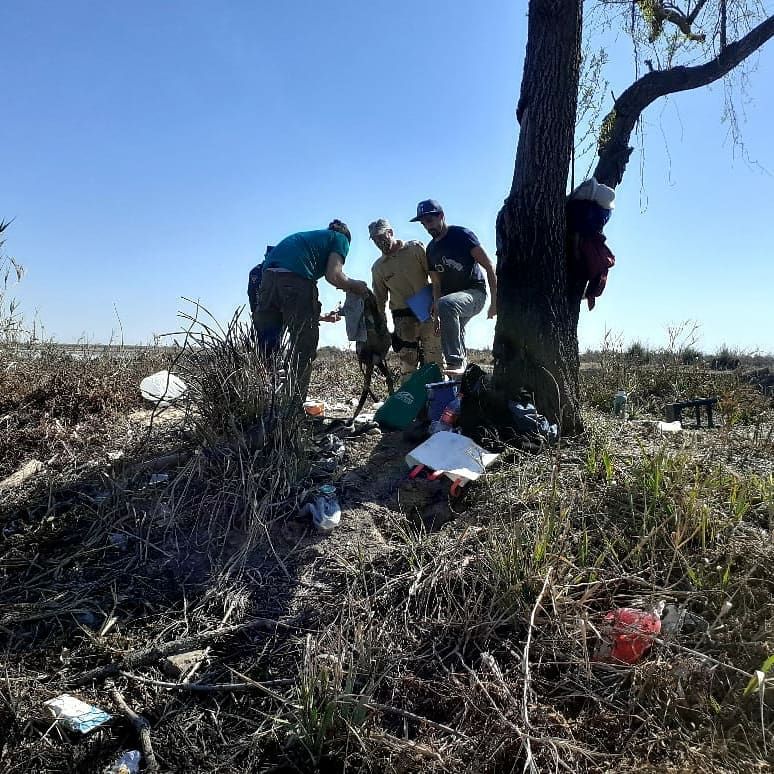 Aprehendieron a cinco personas por incendios en islas del Delta y labraron más de 100 actas por infracciones