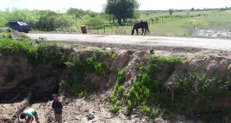 Alerta sobre la presencia de caballos sueltos en el Puente de Obligado