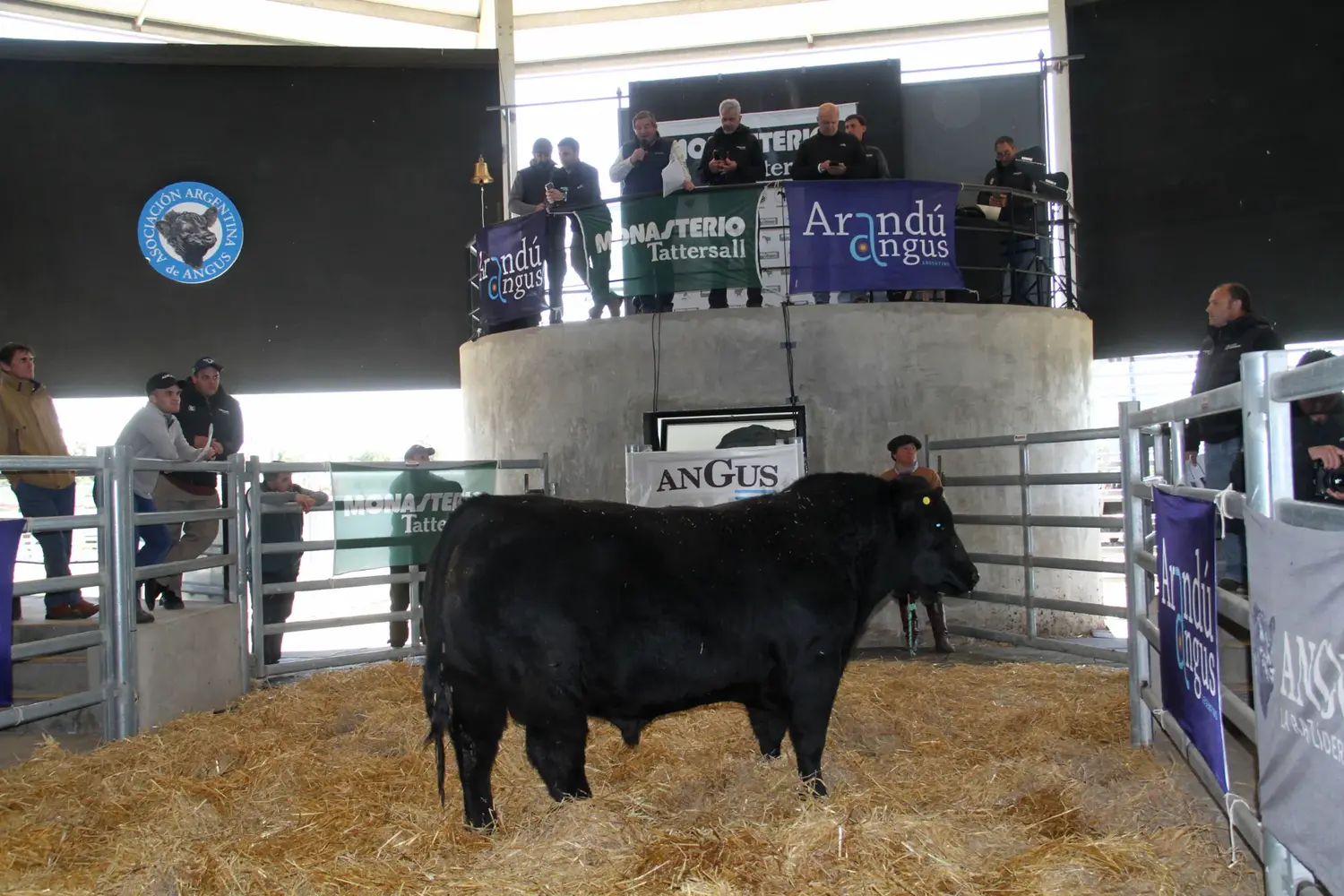 Arandú le dio un martillazo trascendental a su trayectoria