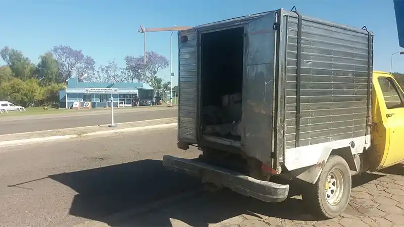 Decomisaron más de 50 piezas de pescados en Diamante