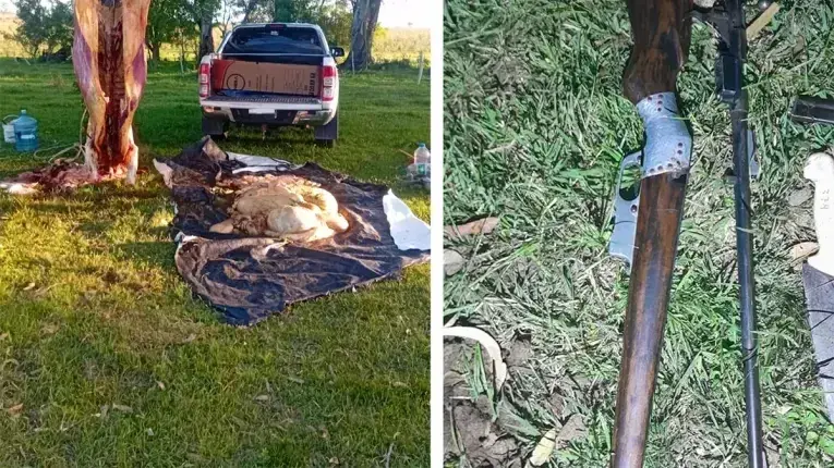 Sorprendieron a dos hombres faenando una vaca durante una constatación por usurpación