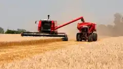 UCR Activa cuestionó el silencio de los legisladores provinciales ante la “muy difícil” situación de los productores