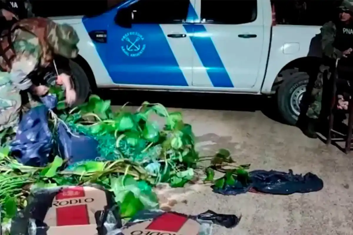 Se disfrazó de camalote para contrabandear cigarrillos por el río Paraná