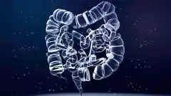 Descubren las células responsables de las recaídas en el cáncer de colon