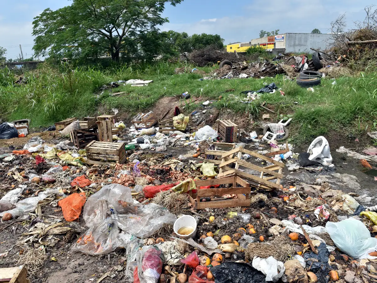 Concejales tratarán en comisión proyecto de una App para denunciar minibasurales 