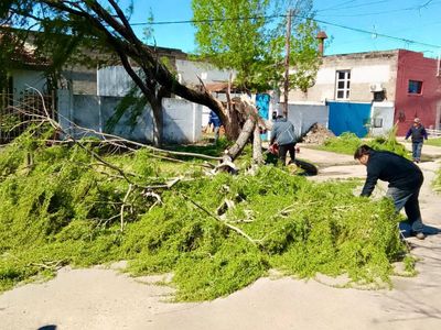 El Gobierno de Venado Tuerto coordina trabajos por los fuertes vientos