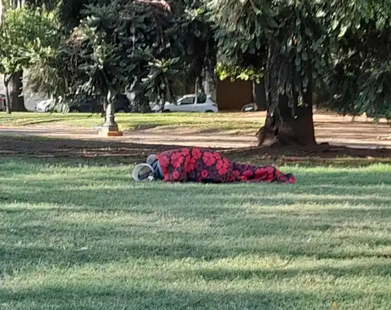 “Cuando hay una persona en la calle, nadie sabe qué hacer. No hay un protocolo”, criticó Nosei