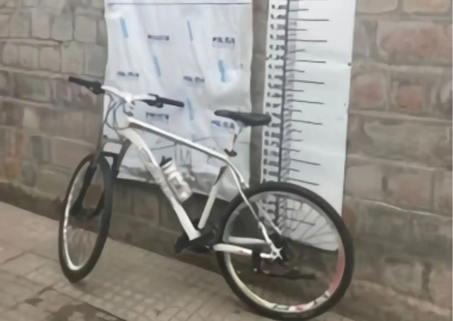 La bicicleta robada fue restituida a su propietario.