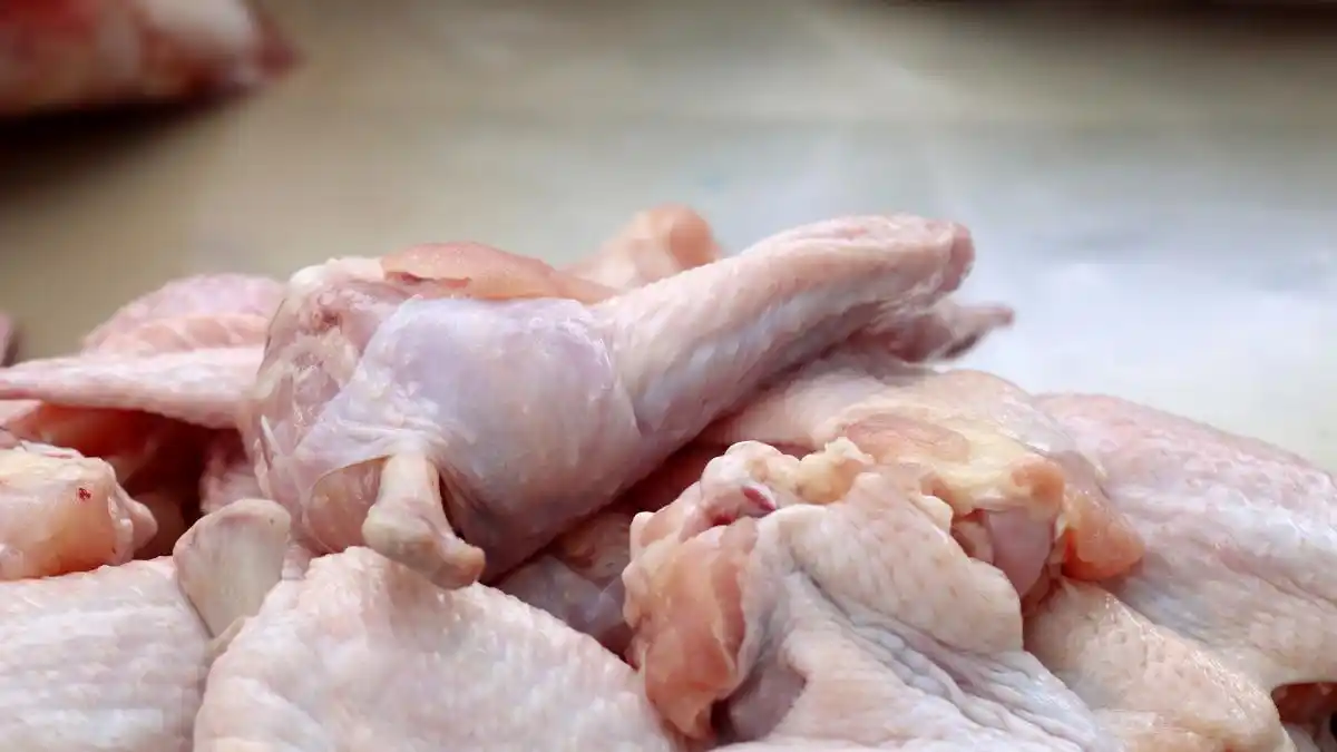 Expectativa por la reapertura de las exportaciones de carne aviar a la UE y Brasil