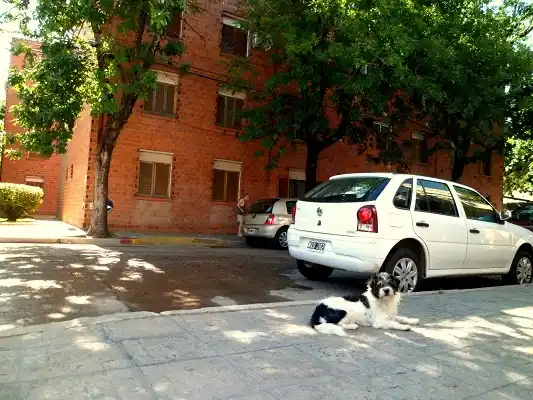 A la sombra para pasar la ola de calor