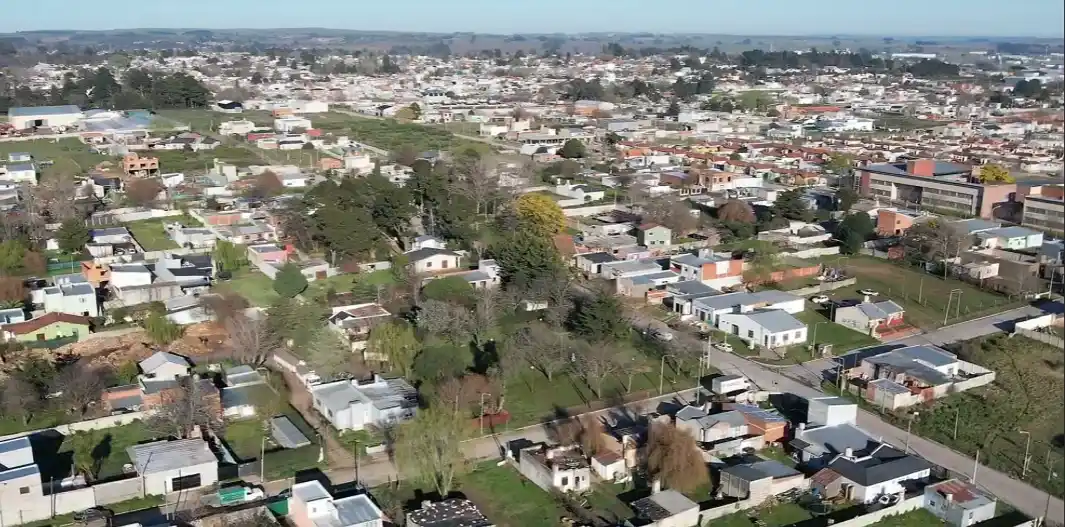 arboles sabias que - 1