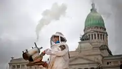 Reclamo y alerta de productores de miel contra transgénicos y agroquímicos