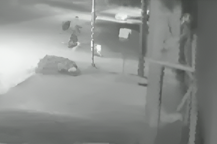 Imágenes de cámaras de seguridad de vecinos registraron el momento en que se lleva el televisor.