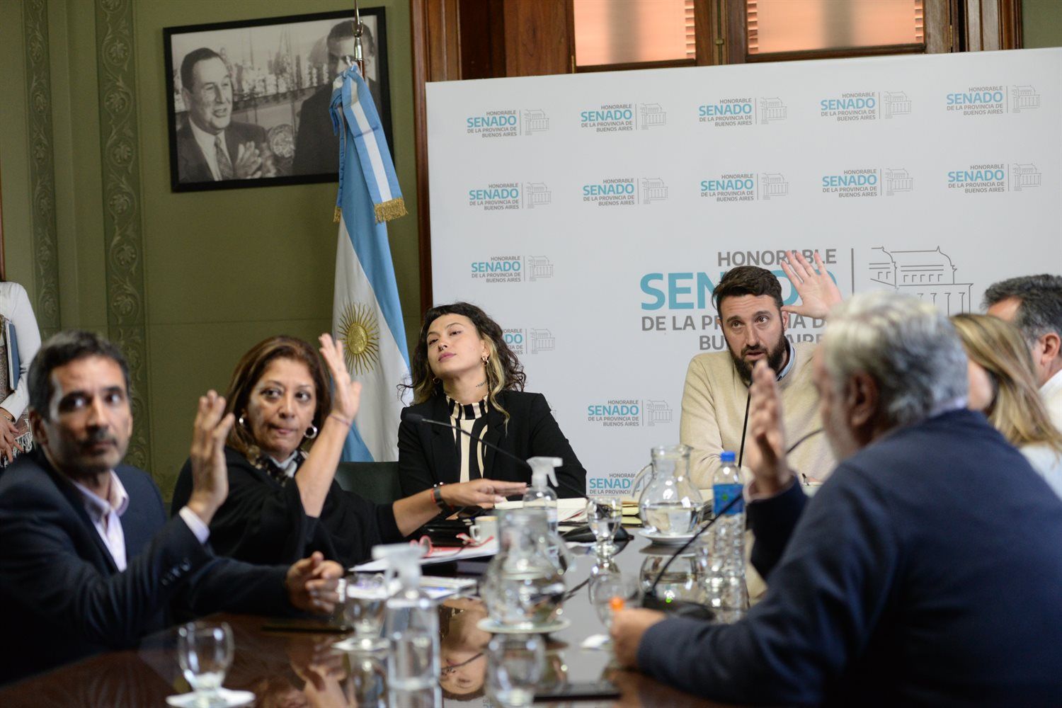 Senado bonaerense: Se pusieron en marcha varias comisiones