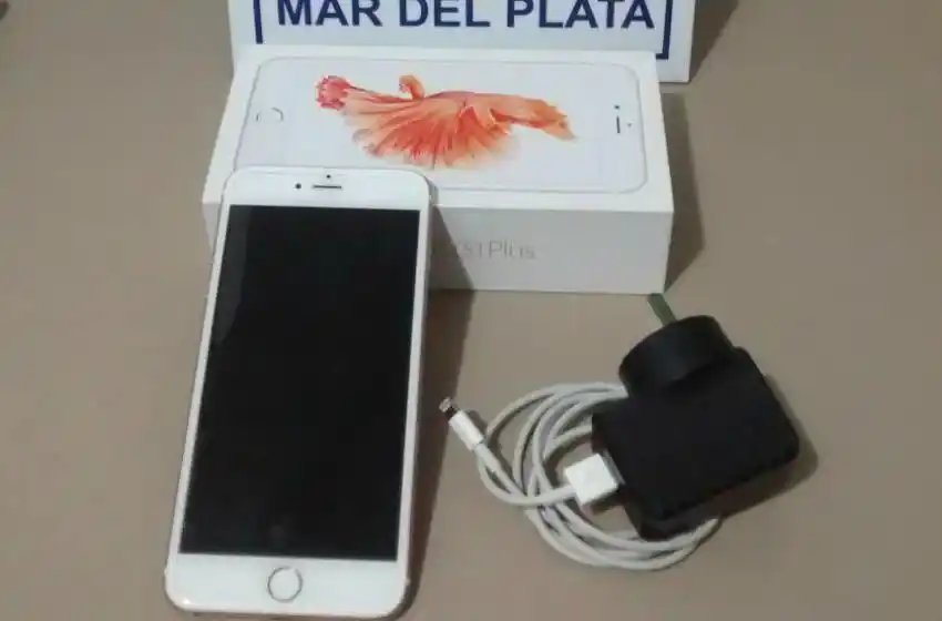 Detuvieron a una pareja que intentaba vender un iPhone robado