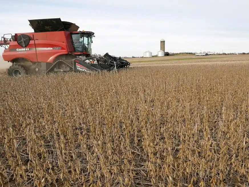 La soja sigue siendo la gran protagonista en la economía de Santa Fe.