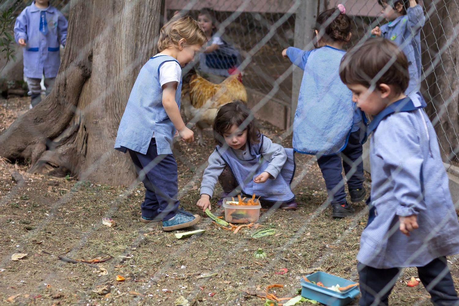 El Jardín de Infantes y Maternal Nuestra Tierra realizará este jueves una reunión informativa