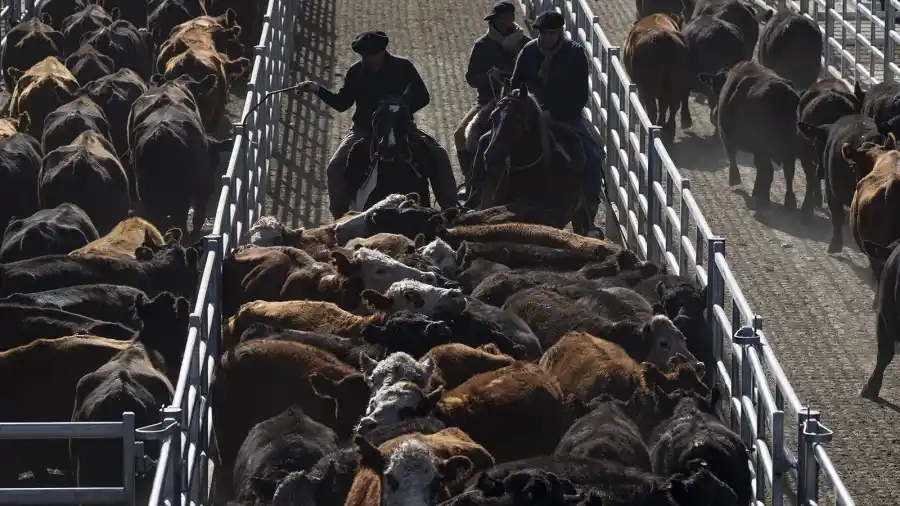 Cierre de los mercados del 23 de noviembre