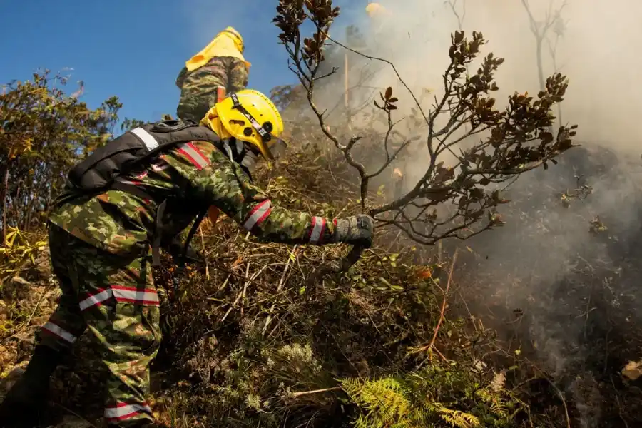 Colombia declarará desastre natural para atender ola de incendios