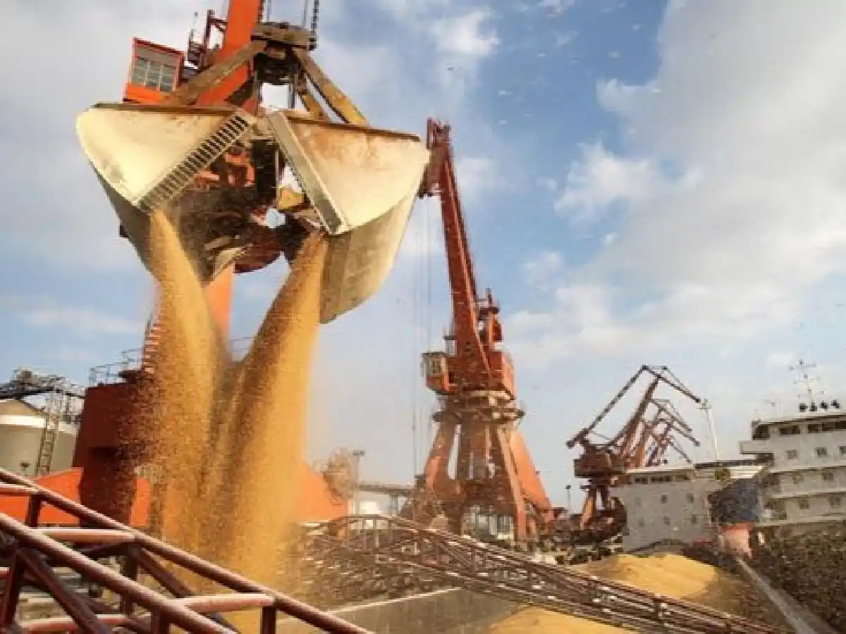 Mientras Alberto Fernández acusa al campo de especulador por no vender soja, las exportaciones agrícolas aumentaron un 6% en los primeros 6 meses del año