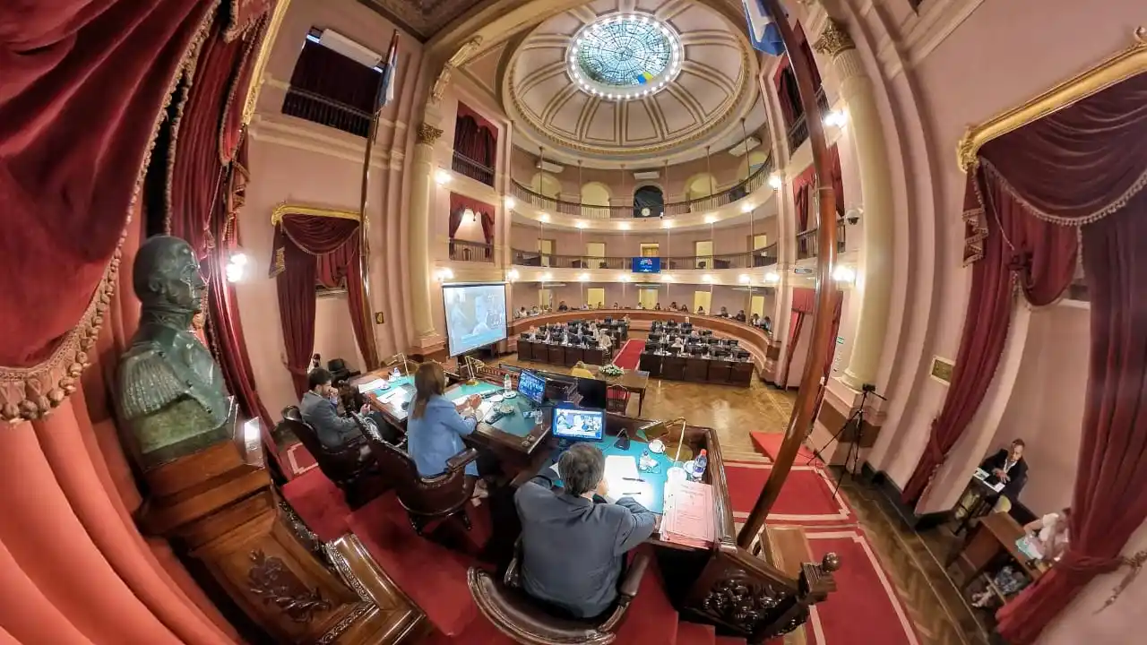 La Cámara de Diputados declaró ciudadanos ilustres a Lisandro Martínez y a Roberto Ayala