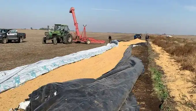 "Vandalismo rural": Qué dice el proyecto de Massa para penar a los que rompen silobolsas en los campos