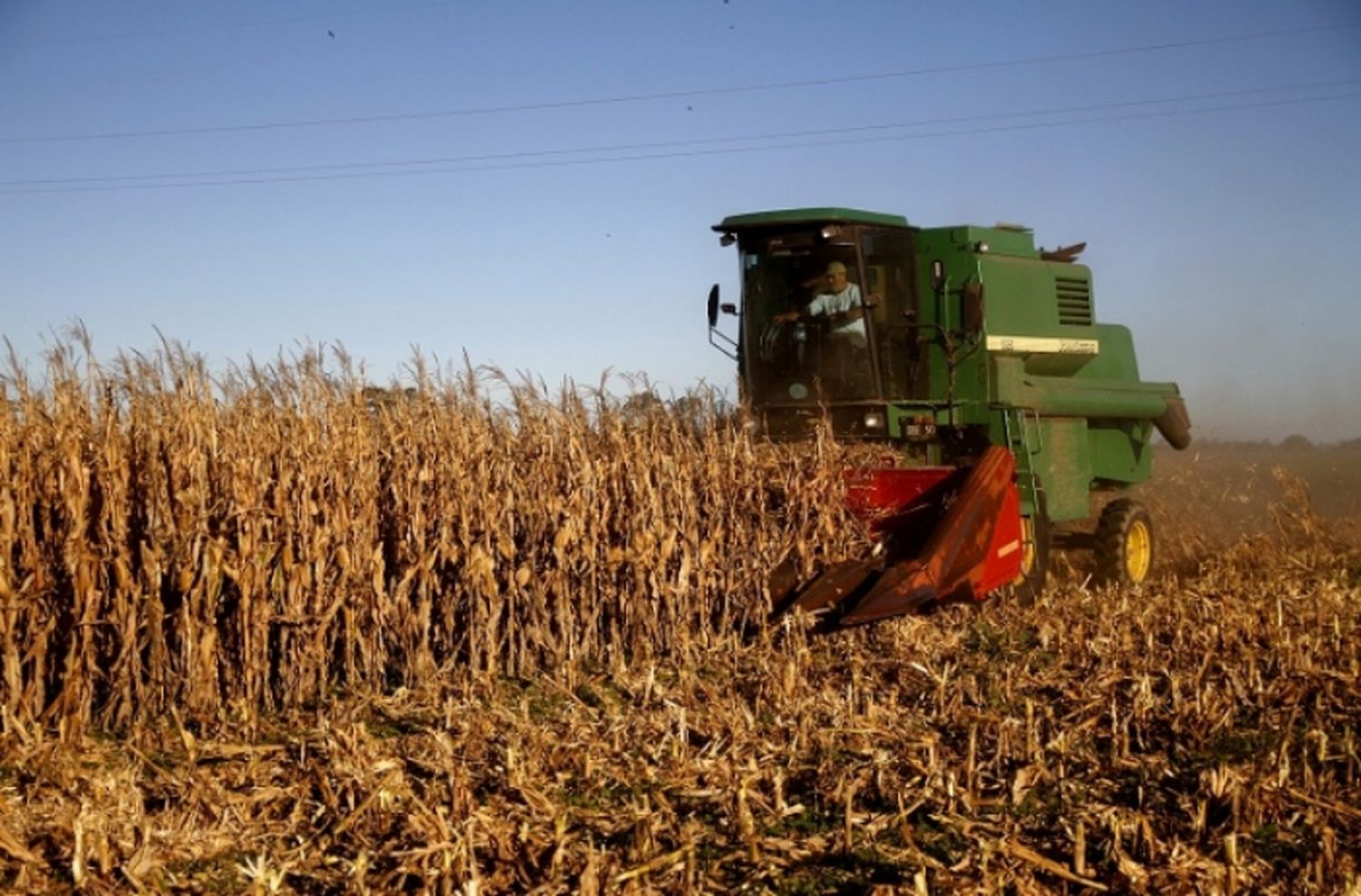 En 2018, las exportaciones de cereales crecieron 17%