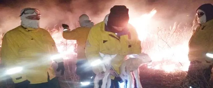 La Brigada Forestal de la  Policía salvó del fuego a una  escuela de Islas y varias  viviendas, este fin de semana