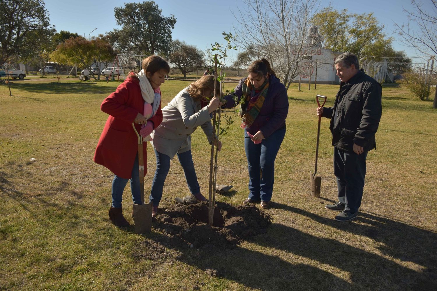 Continúa el Programa “Un Árbol para Tu Institución”