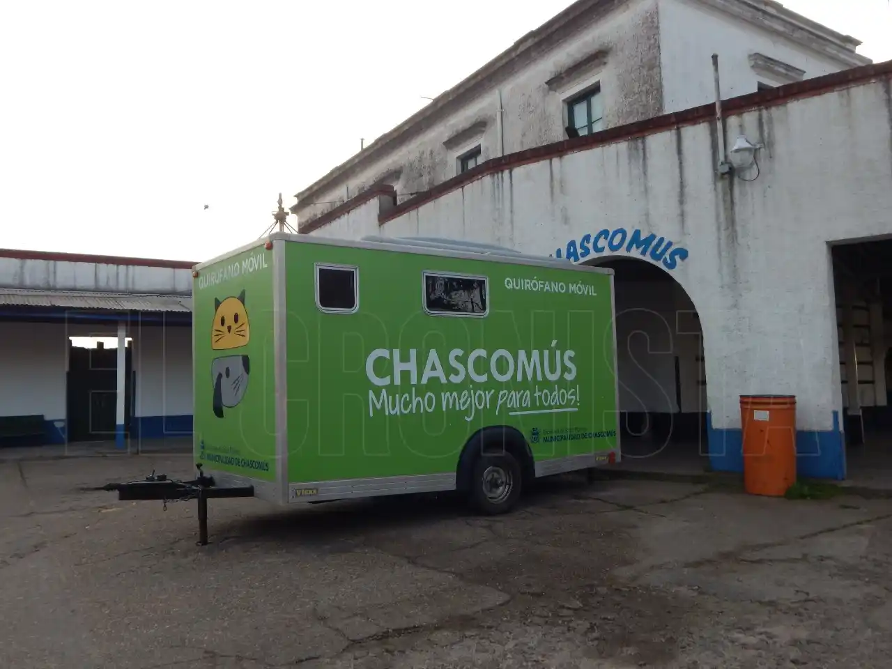 Salud pública: Un petitorio de castraciones masivas para perros y gatos en Chascomús