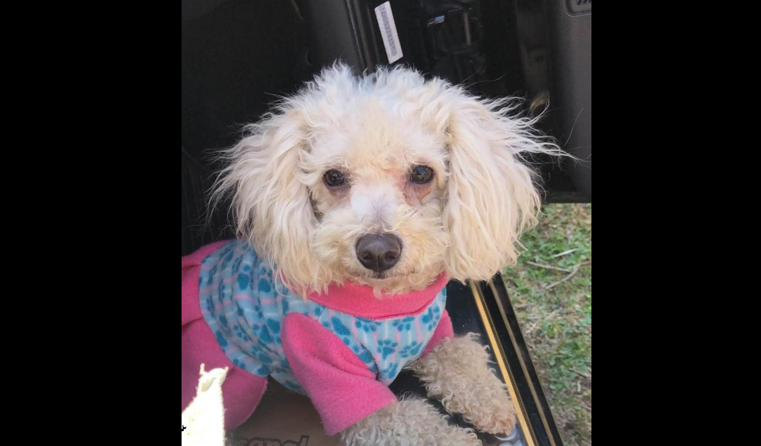 Buscan a Rita