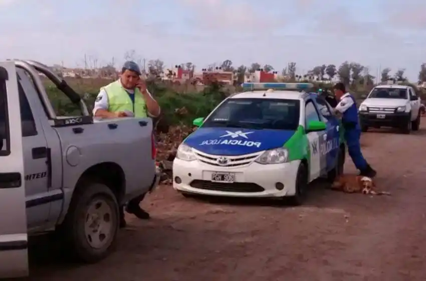 El Municipio infraccionó a personas por arrojar basura en la calle