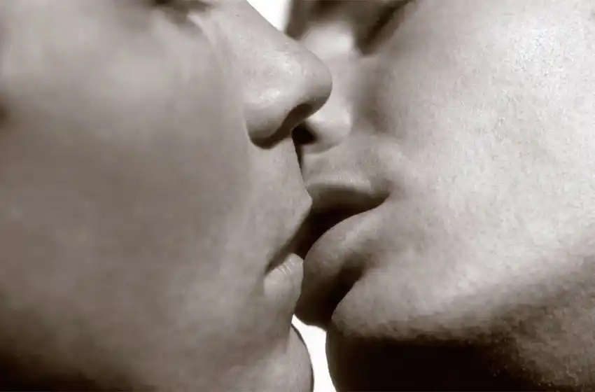 Bud Sex… ¡yo no soy gay! ¿Y usted?