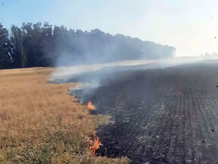 Incendios. En lotes cultivados con soja de segunda sobre rastrojos