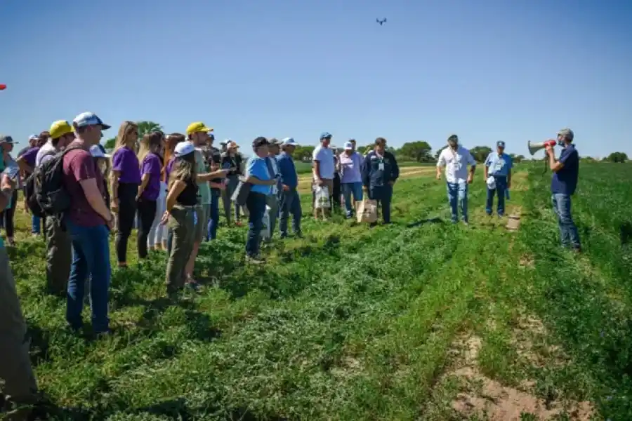 Provincia presentó la muestra nacional de alfalfa que se realizará en Esperanza