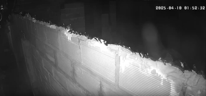 Intento de robo en vivienda