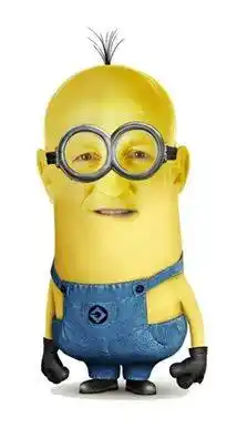 Entre Ríos: Precandidato se convirtió en Minions para ganar votos