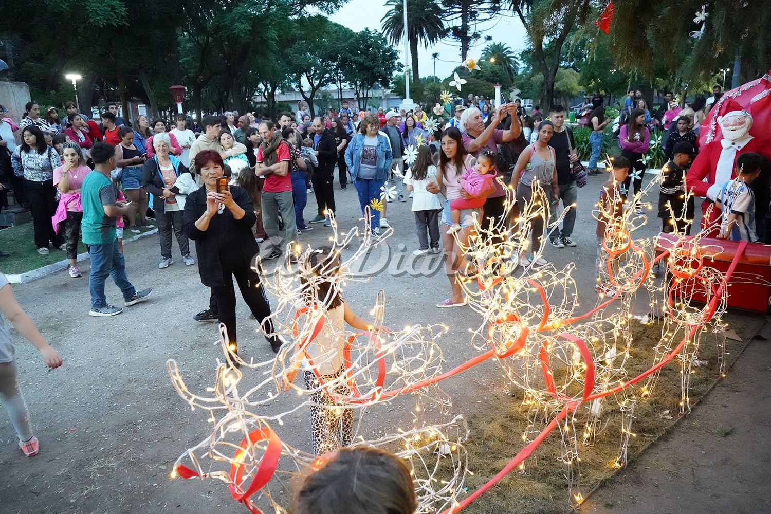 Llamativo trineo. Ubicado al lado del árbol