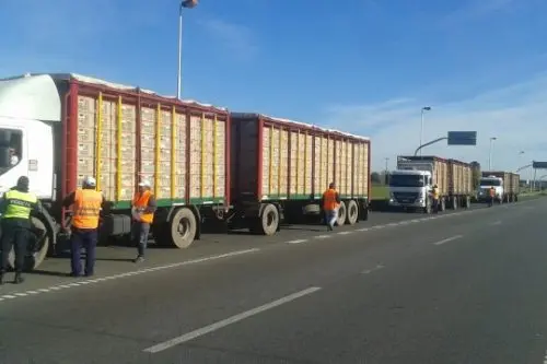 Senasa detectó irregularidades en la carga de transportes en rutas bonaerenses