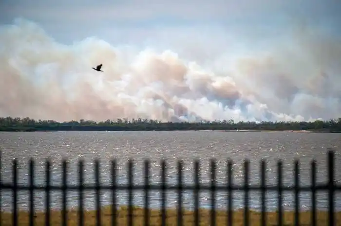 Quema de pastizales: fiscal pide la detención de dueños de campos incendiados