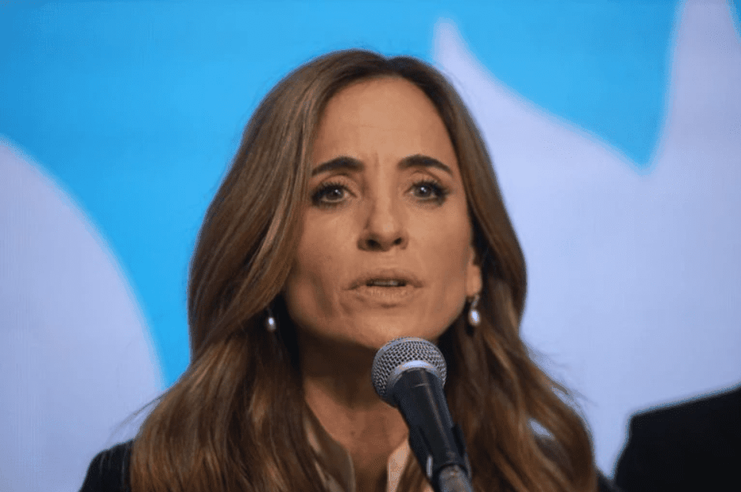 Tolosa Paz: "Una vez que termine el conteo, la diferencia va a ser de menos de un punto"