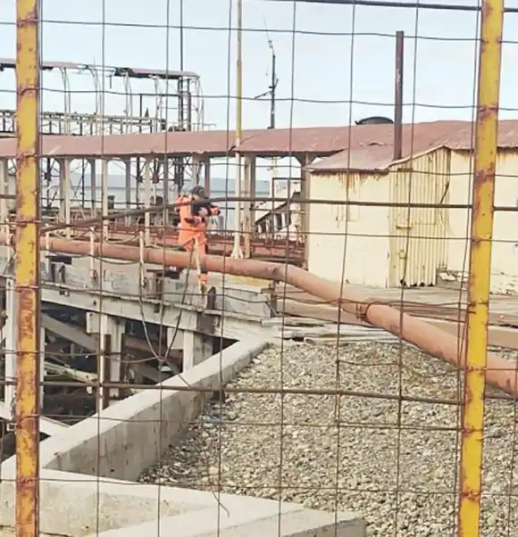 Prefectura rescató a un perro  en Río Gallegos